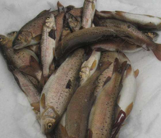 原创 为何过来人总说,被洪水接触过的东西都要丢弃?专家终于道出实情4