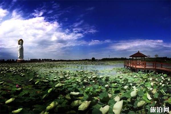 白洋淀景区门票多少钱一张?具体开放时间介绍3