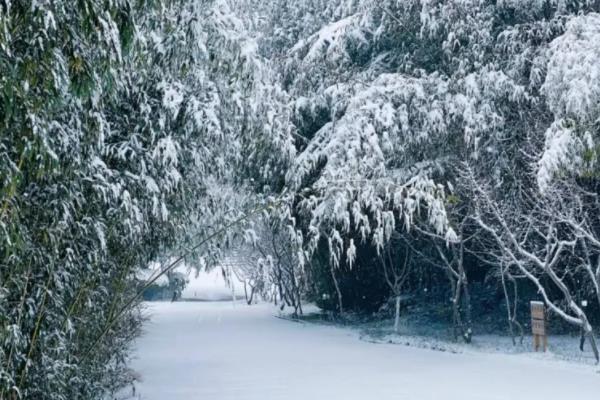 红叶谷冬天去好吗 适合冬天去游玩吗1
