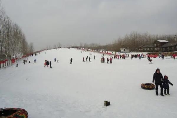 2022淄博春节过年哪里可以滑雪1