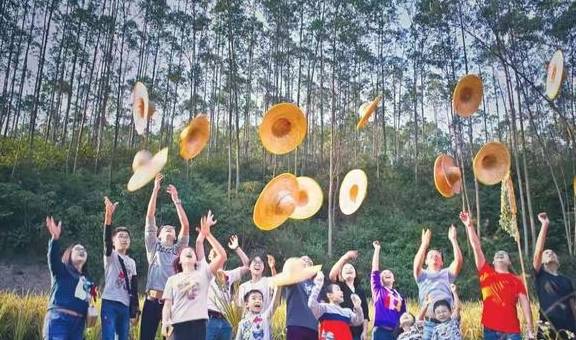 原创 未来，肇庆这个地方将成为“撸猫乐园”1