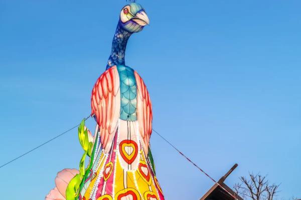 2022北京赏花灯的地方 哪些地方有花灯1