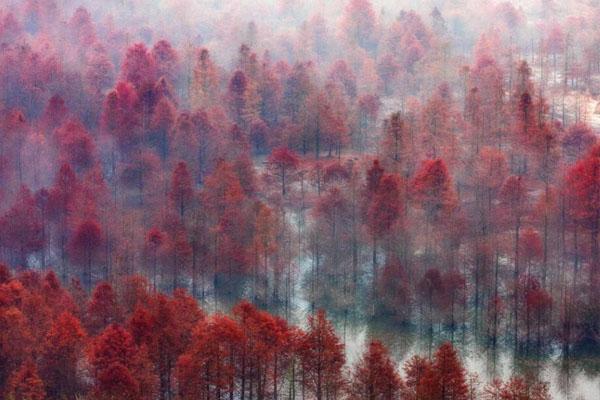 皖南川藏线秋季自驾游攻略 出现高原反应怎么办2