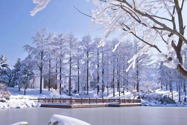 绍兴哪里有滑雪的地方 绍兴周边滑雪场游玩攻略3