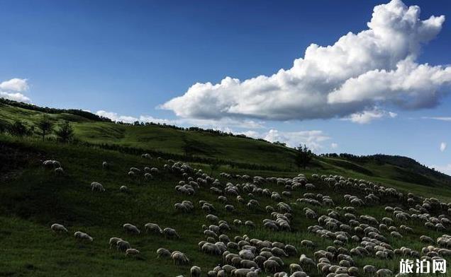 达达线自驾游攻略5