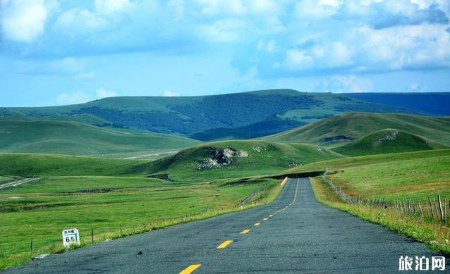 达达线自驾游攻略7