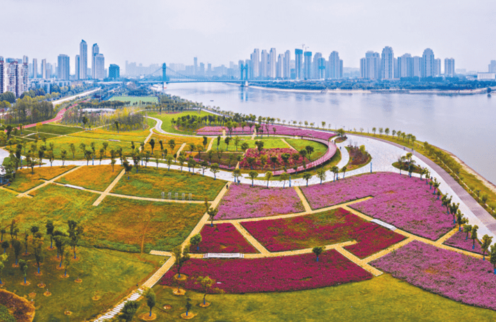 原创 武汉一公园未开先火，投资20亿占地49公顷，未来或成地区名片4