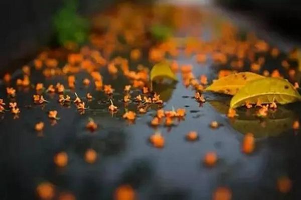 慕田峪长城周边的红螺寺好玩吗 怎么去2