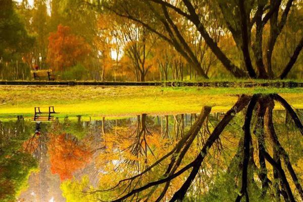 什么叫数字景区 上海哪里有数字景区3