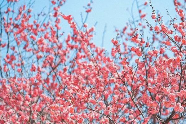 无锡冬天适合去哪里玩 冬季游玩打卡好去处1