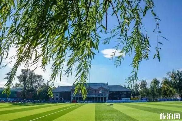 清华大学冰场开放时间 校外人员怎么进入滑冰3