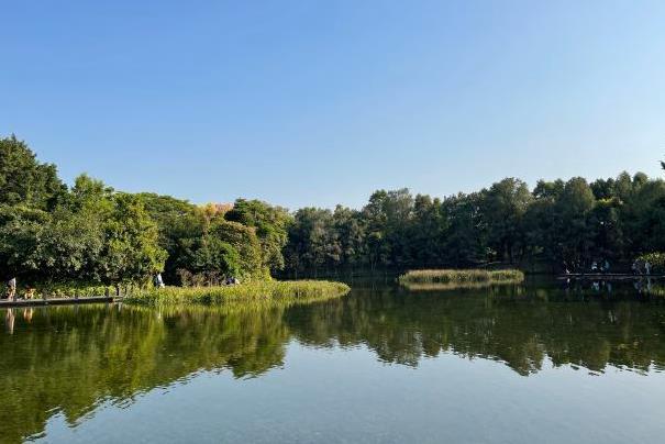 广州最值得去的公园有哪些 宝藏公园景点推荐2