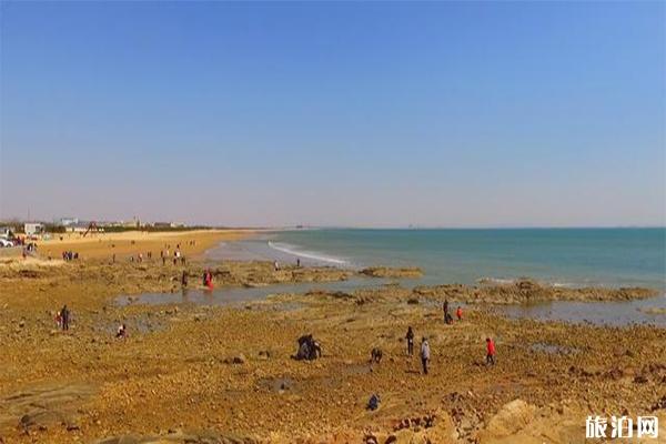 日照吴家台和任家台哪里好玩 赶海哪个好2