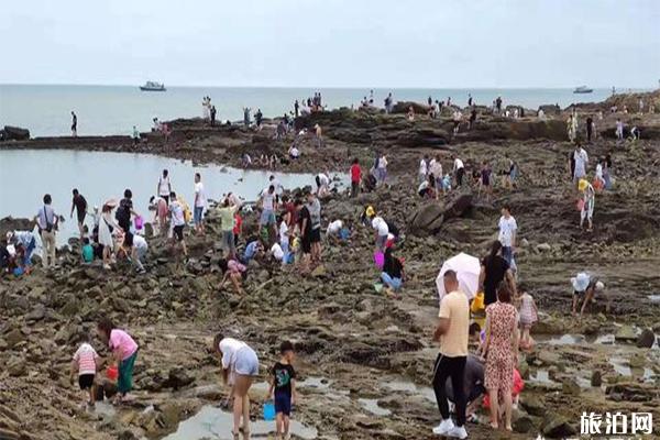 日照吴家台和任家台哪里好玩 赶海哪个好3