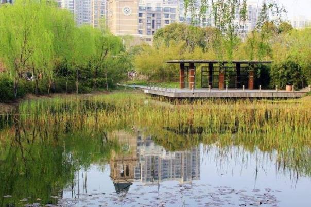 苏州免费公园值得去的有哪些3