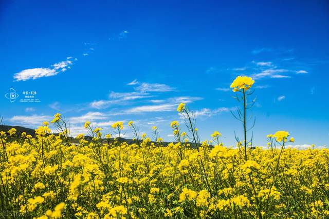 送给50-60岁的朋友:悠悠岁月步入暮年,真正的生活才刚刚开始5