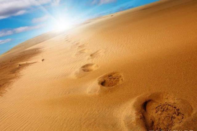 原创 沙漠中的沙子这么多，为什么不拿来建房呢？网友：不是很现实！1