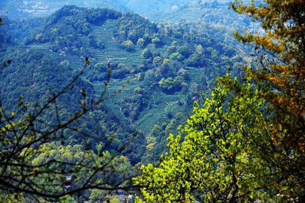 杭州爬山去哪里比较好 杭州免费爬山的地方2