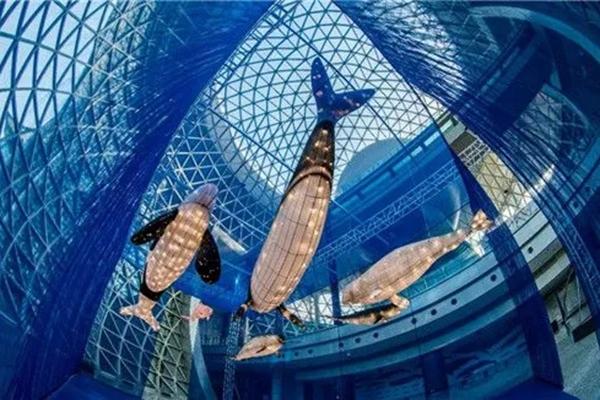 上海科技馆最强游玩攻略2