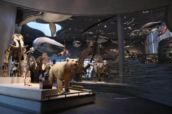 上海科技馆最强游玩攻略3