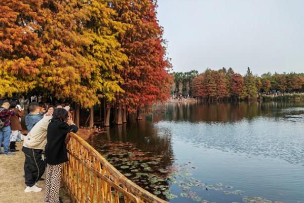 2022厦门就地过年有补贴吗 厦门春节景区免费名单1