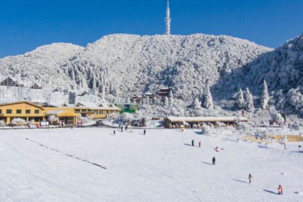 重庆南川冬天去哪里比较好玩 冬季旅游好去处1