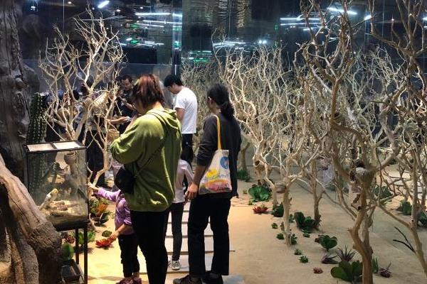 上海松江小动物园有哪些 亲子游玩好去处推荐1