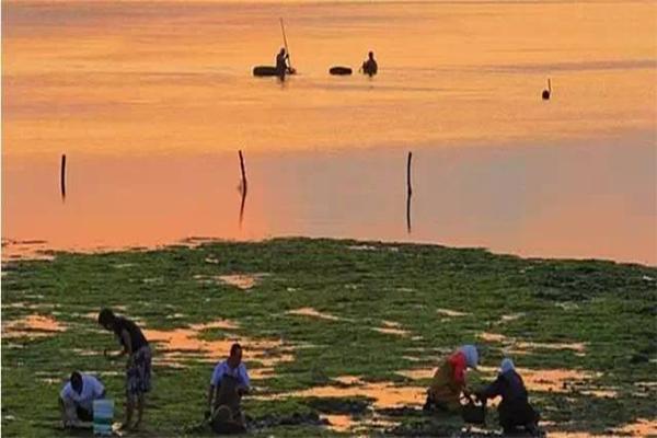 威海免费的赶海都在哪里 小石岛、乳山银滩等地都免费3