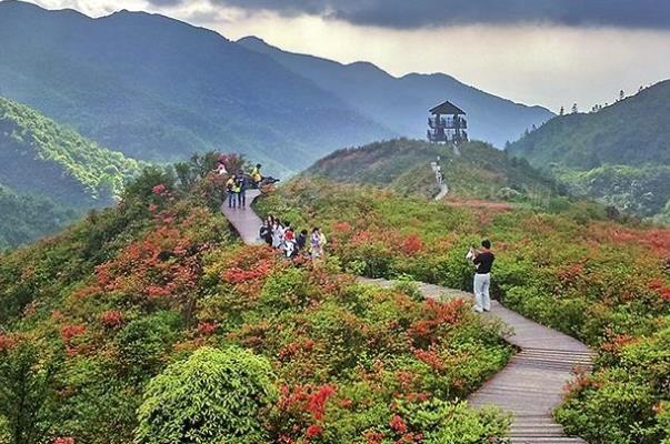 长沙骑行路线推荐3