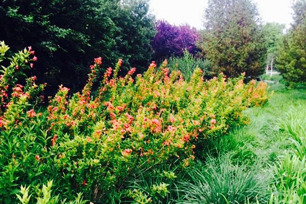 北京有哪些适合骑行的地方 北京春季骑行路线1