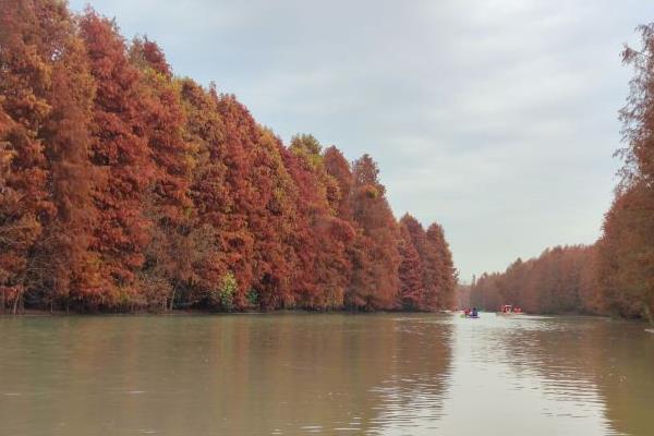 上海冬季去哪里比较好玩 上海冬季郊游1