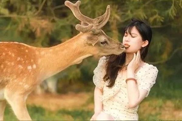 嘉鱼鹿岛公园在什么地方2