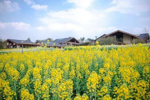 2022深圳光明区附近有什么好玩的地方2