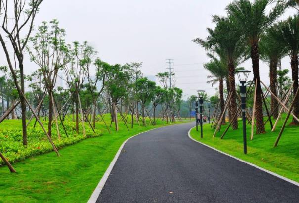 2022深圳光明区附近有什么好玩的地方3