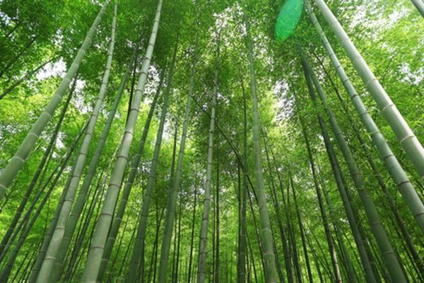 常州冬天有什么好玩的 这几个地方值得一去1