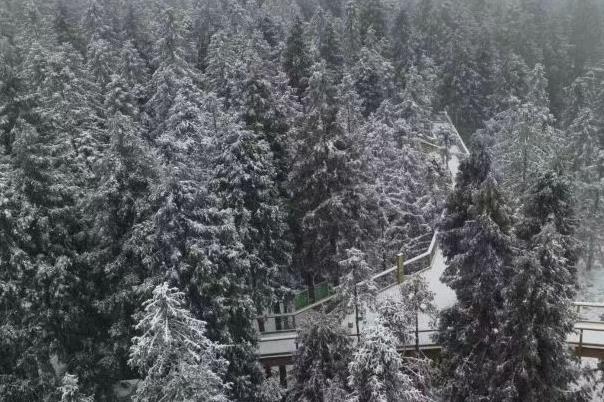 重庆有雪的景区 玩雪的地方有哪些2