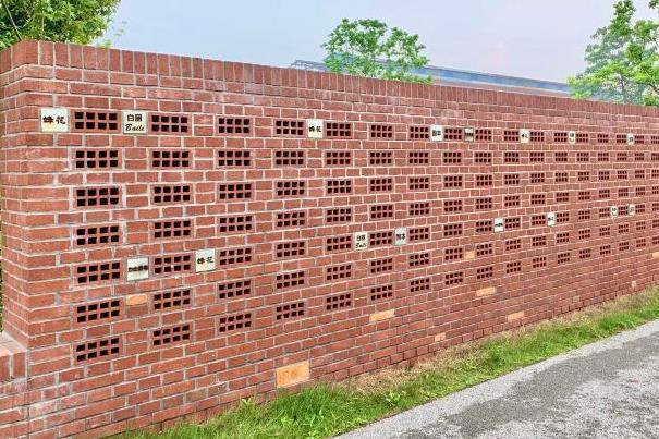 上海皂梦空间地址在哪里 游玩攻略2