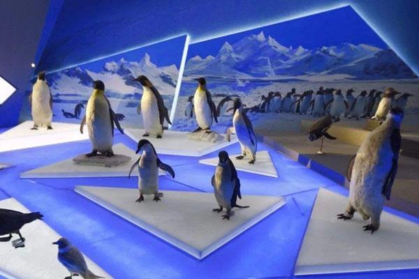 西岭雪山滑雪场开放时间2021-2022 滑雪场门票优惠1