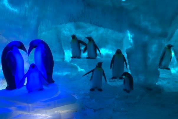 上海海昌海洋公园攻略一日游3