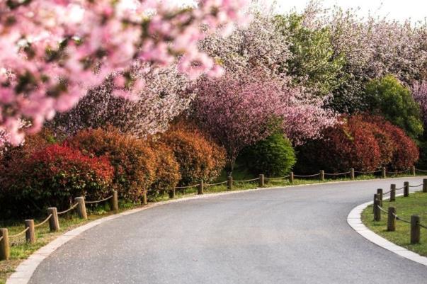 无锡适合跑步的公园 公园步道有哪些3