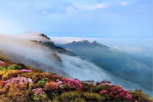 二郎山喇叭河景区开放没有3