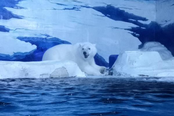天津哪里有玩雪的地方1