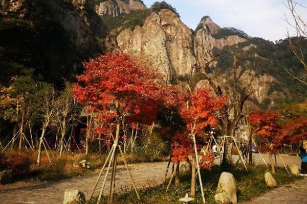 乐清西门岛红树林在哪里-好玩吗1