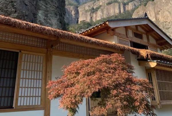 乐清西门岛红树林在哪里-好玩吗3