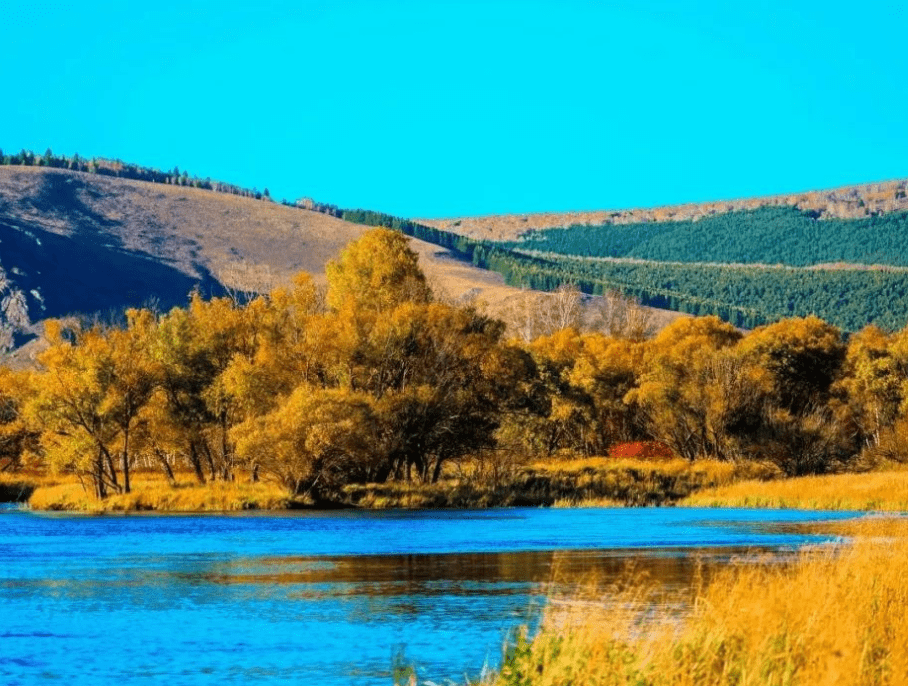 原创 新疆有座旅游城市，明明是塞上江南，却总被大家误认为是荒漠戈壁1