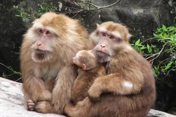 福州乐峰赤壁生态风景区门票多少钱?什么时候开放1