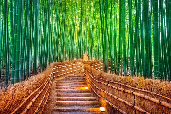 河南少林寺一日游玩攻略3