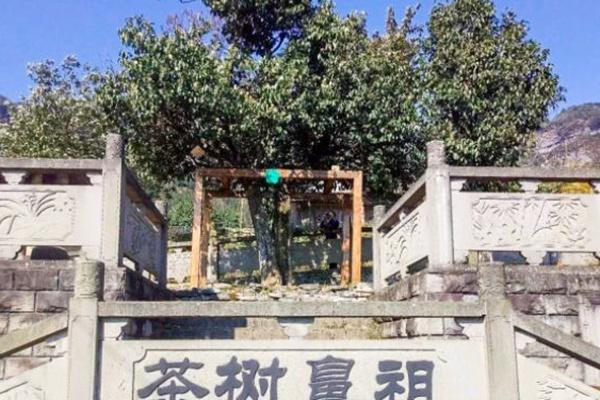 金佛山自驾游攻略2