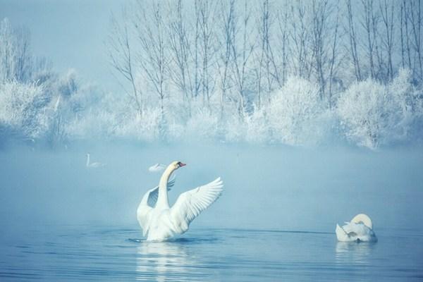 冬季小众旅游景点推荐 国内这些地点很安静很舒服3