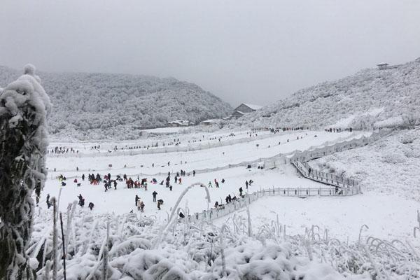 2021重庆金佛山滑雪场最新门票价格2